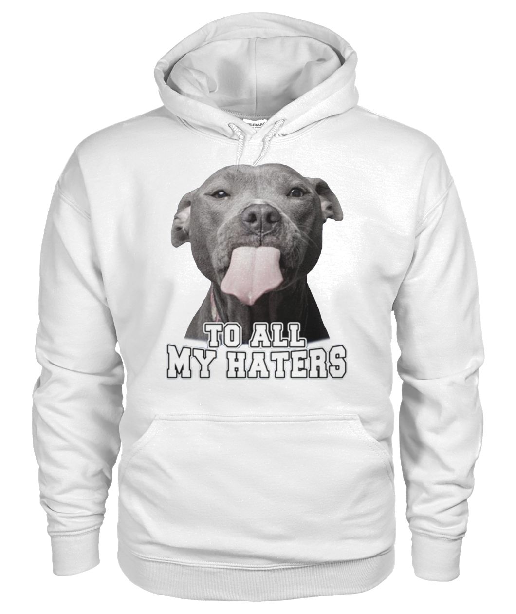 Pit bull to all my haters gildan hoodie