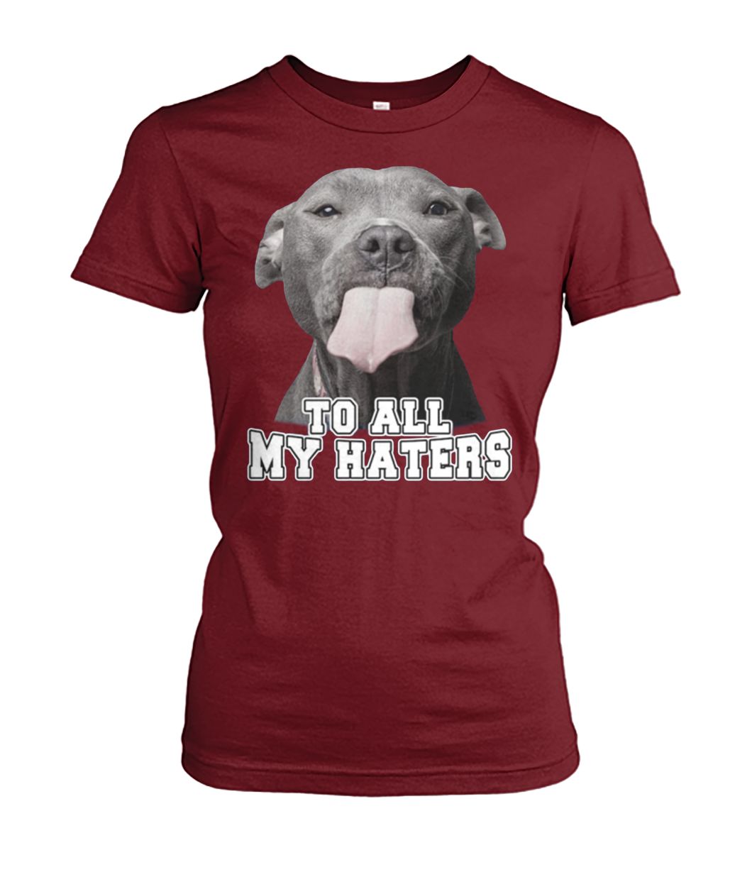 Pit bull to all my haters women's crew tee