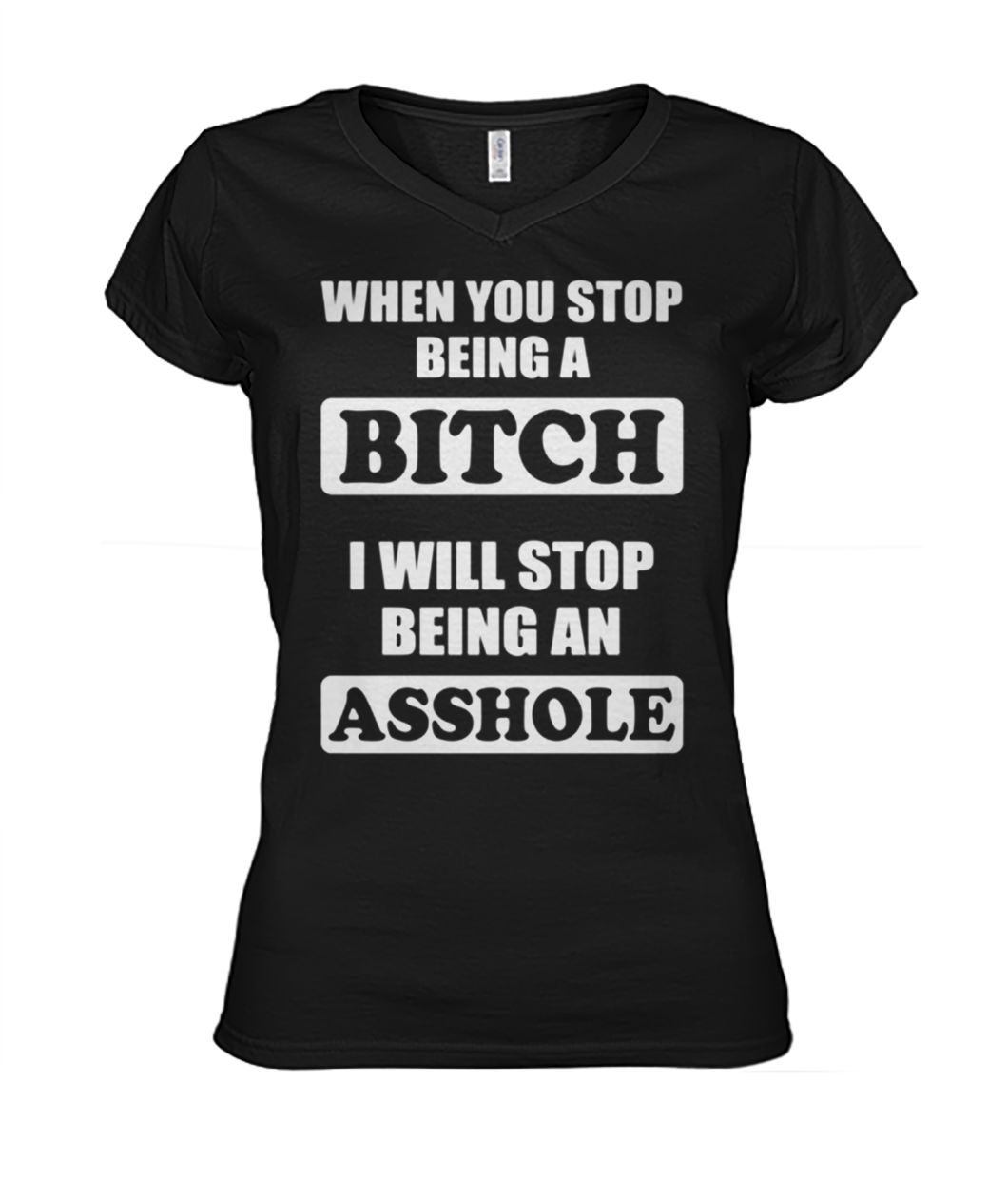 When you stop being a bitch I will stop being an asshole women's v-neck