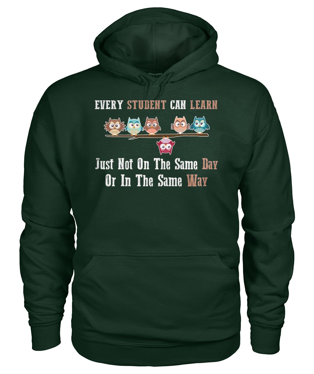 Every student can learn just not on the same day or in the same way owl gildan hoodie