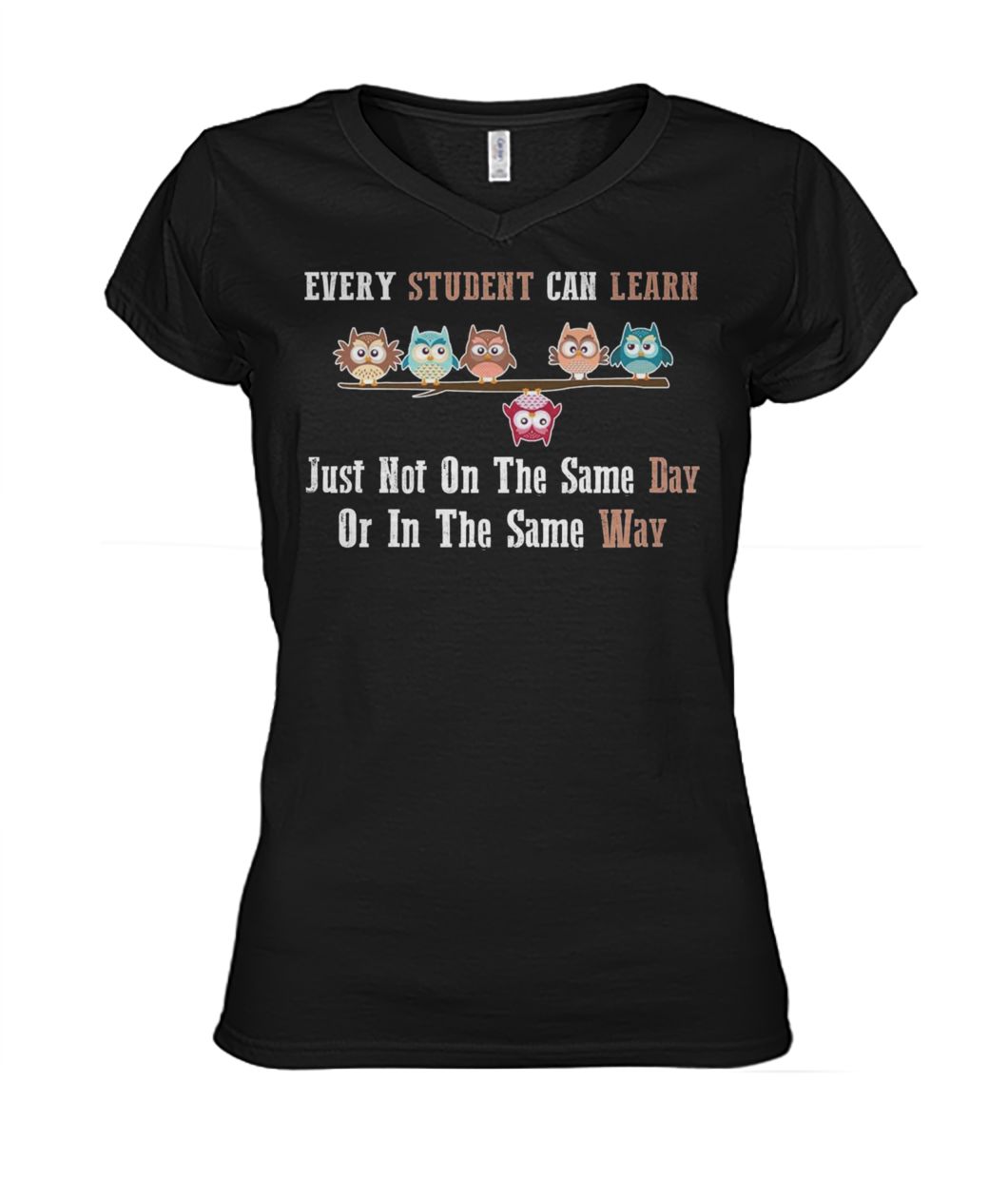 Every student can learn just not on the same day or in the same way owl women's v-neck