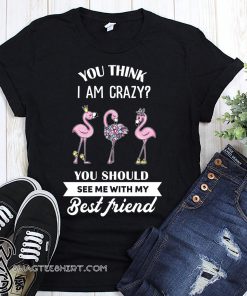 Flamingo you think I am crazy you should see me with my best friend shirt