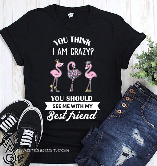 Flamingo you think I am crazy you should see me with my best friend shirt