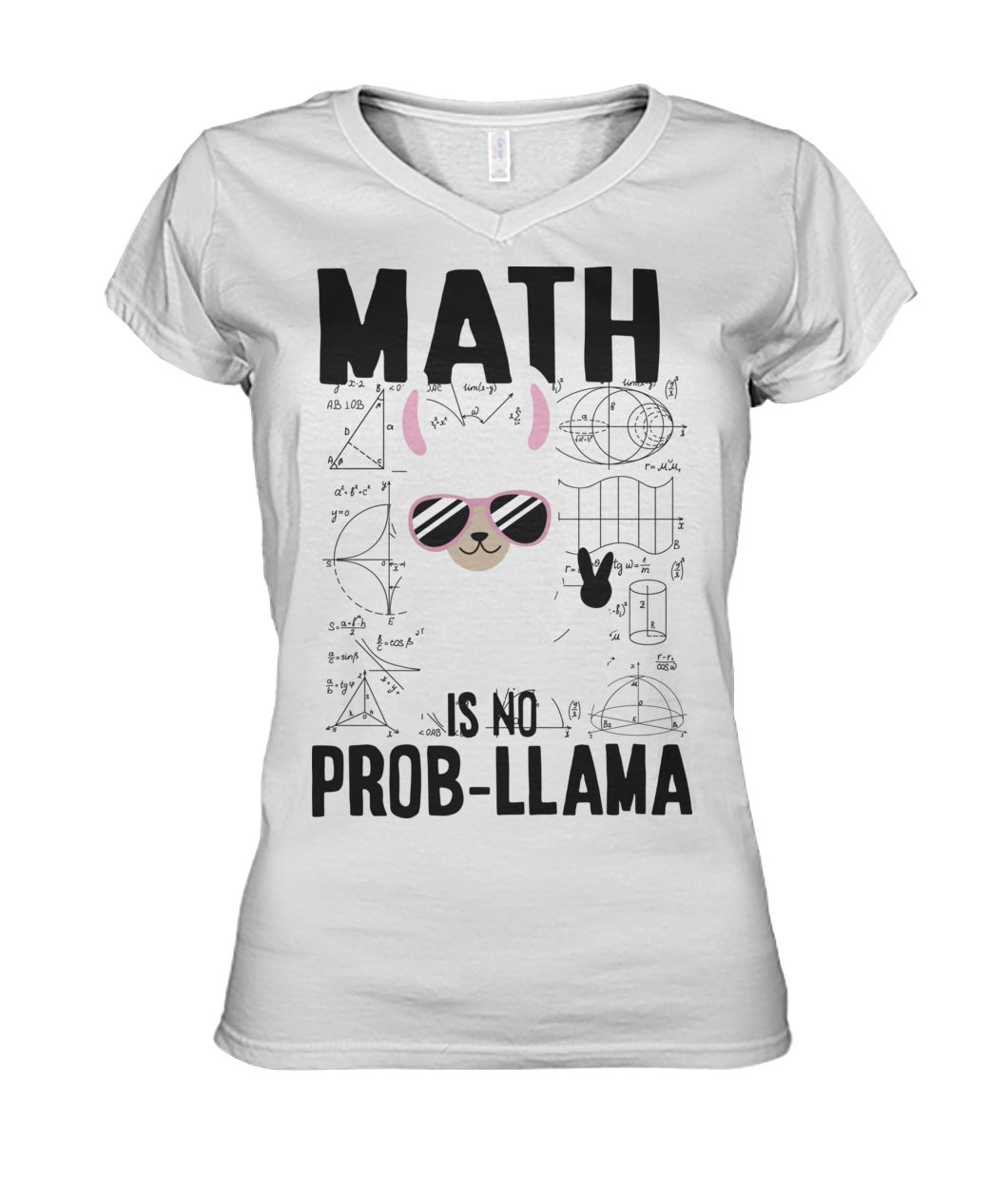 Math is no prob-llama back to school llama women's v-neck