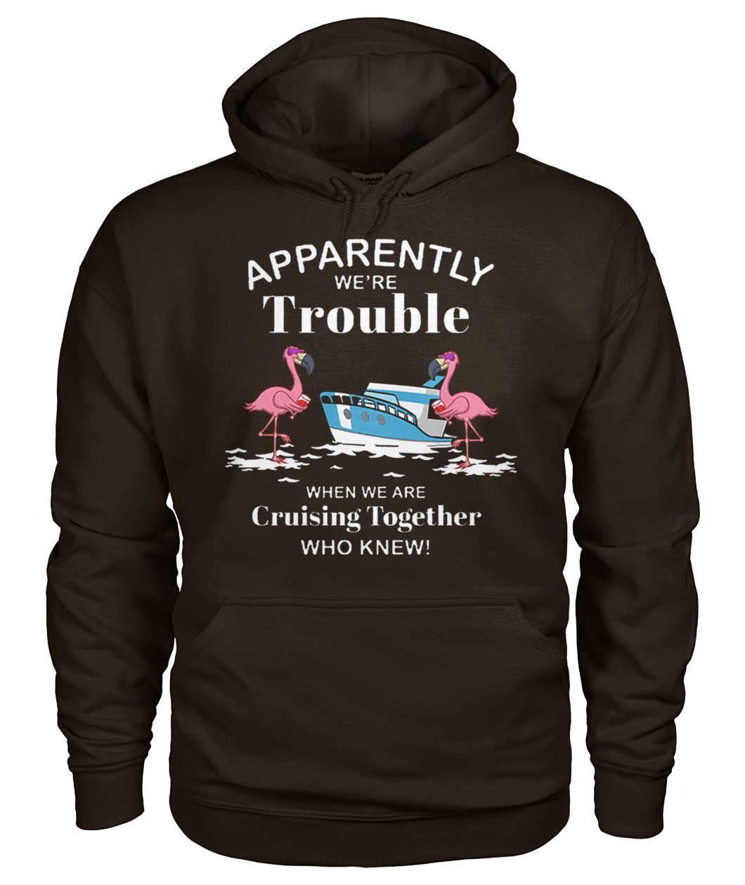 Apparently we're trouble when we are cruising together who knew flamingo gildan hoodie