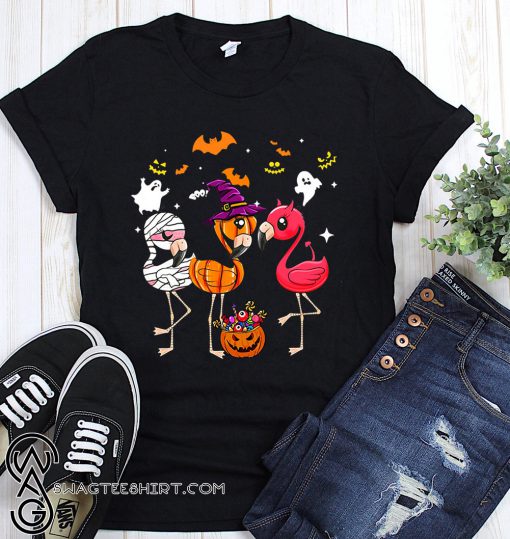 Flamingo halloween pumpkin witch ghost shirt