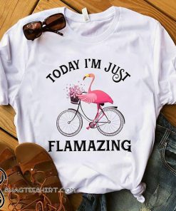 Flamingo today I'm just flamazing shirt