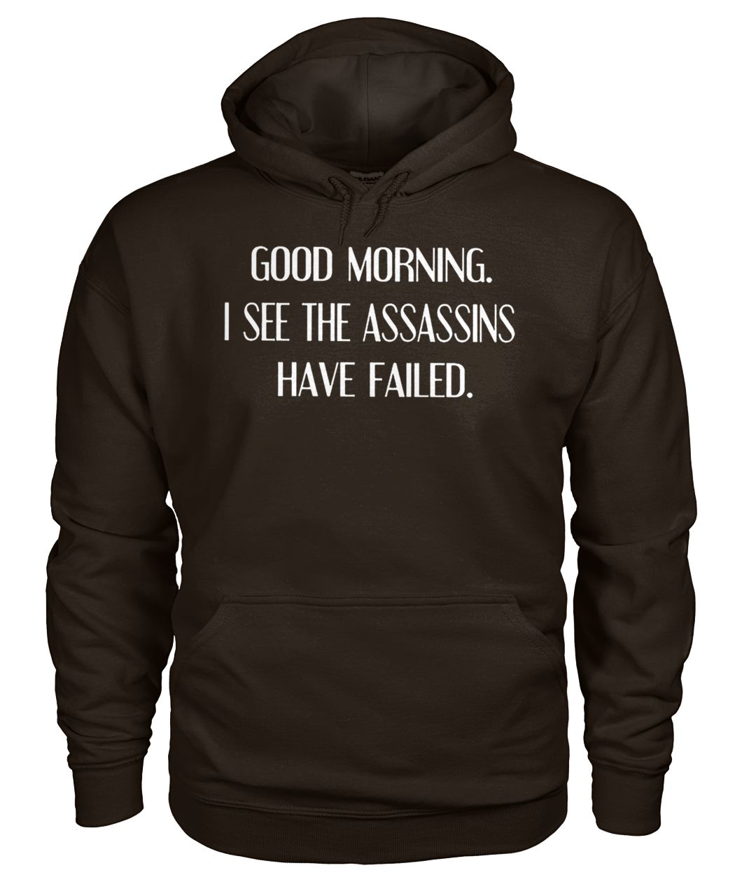 Good morning I see assassins failed gildan hoodie