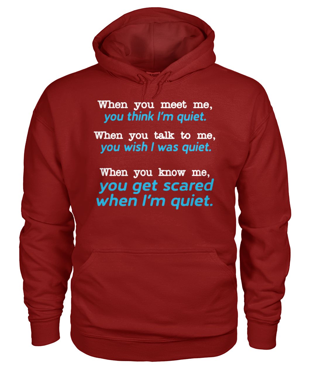 When you meet me think I'm quiet when you talk to me you wish I was quiet gildan hoodie