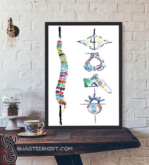 Chiropractor abstract spine and vertebrae anatomy poster