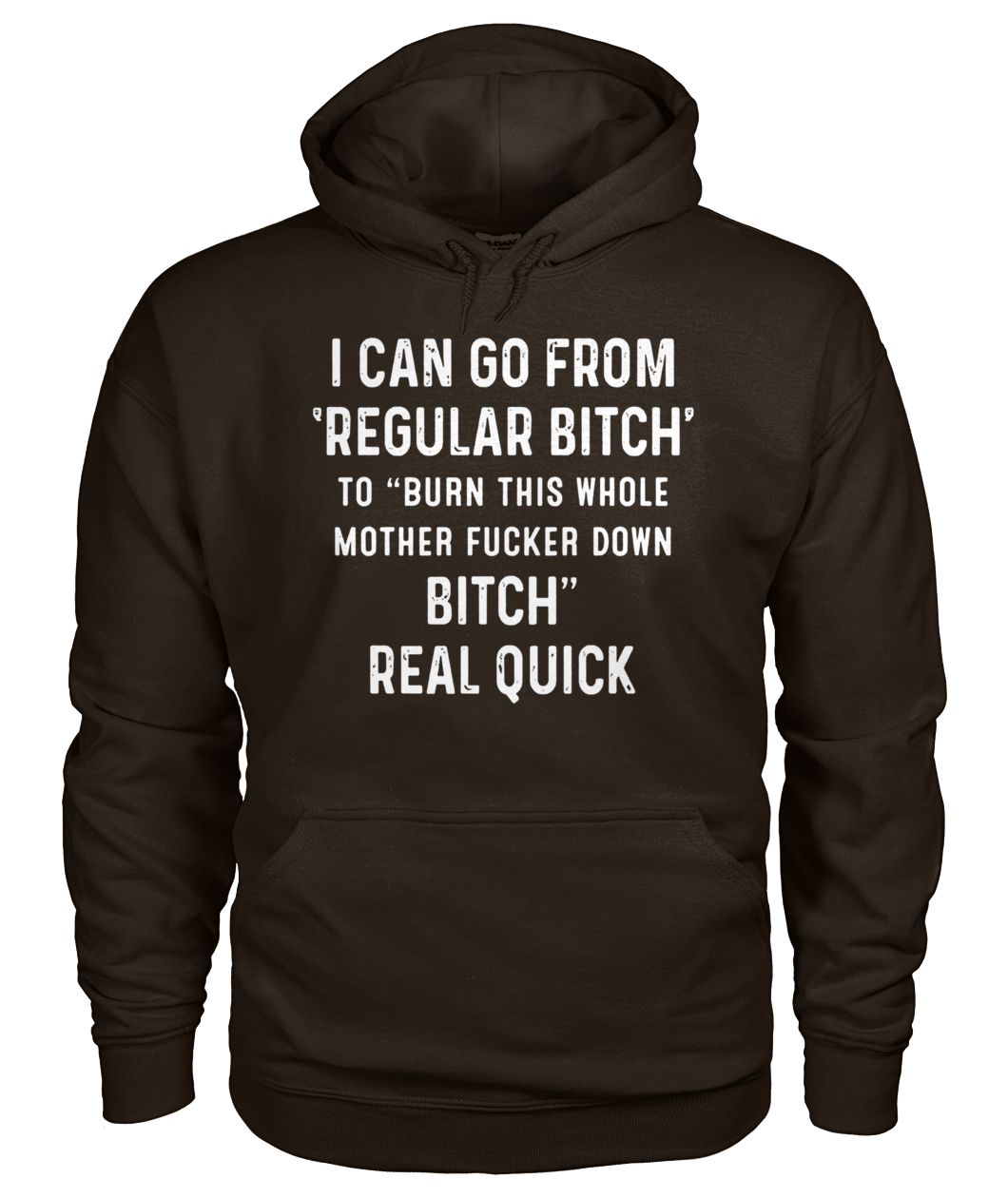 I can go from regular bitch to burn this whole mother fucker down bitch real quick gildan hoodie