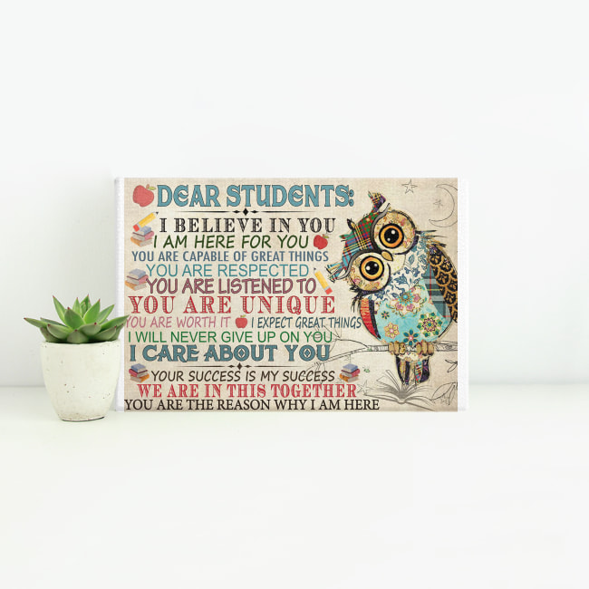 Original Owl dear students I believe in you I'm here for you poster