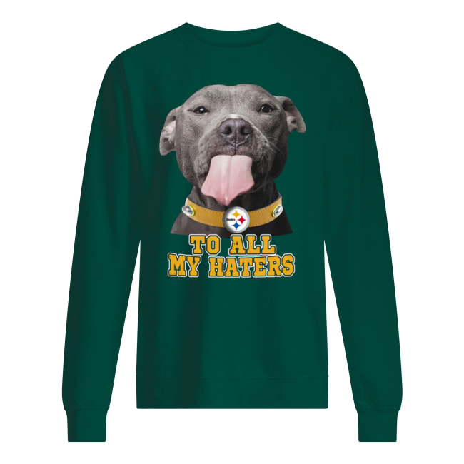 Pitbull steelers to all my haters sweatshirt