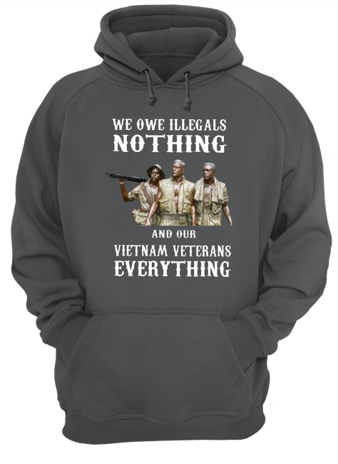 We owe illegals nothing and our vietnam veterans everything hoodie