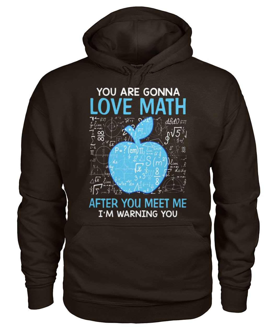 You are gonna love math after you meet me I'm warning you gildan hoodie