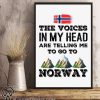 The voices in my head are telling me to go to norway poster