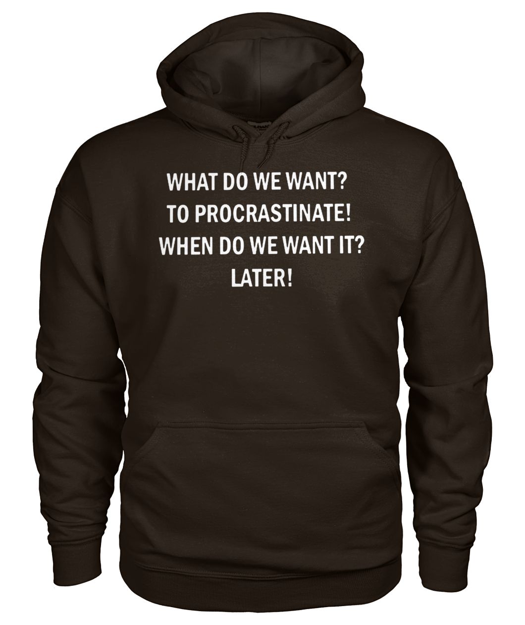 What do we want to procrastinate when do we want it later hoodie