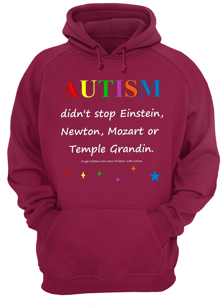 Autism didn't stop einstein newton mozart or temple grandin hoodie