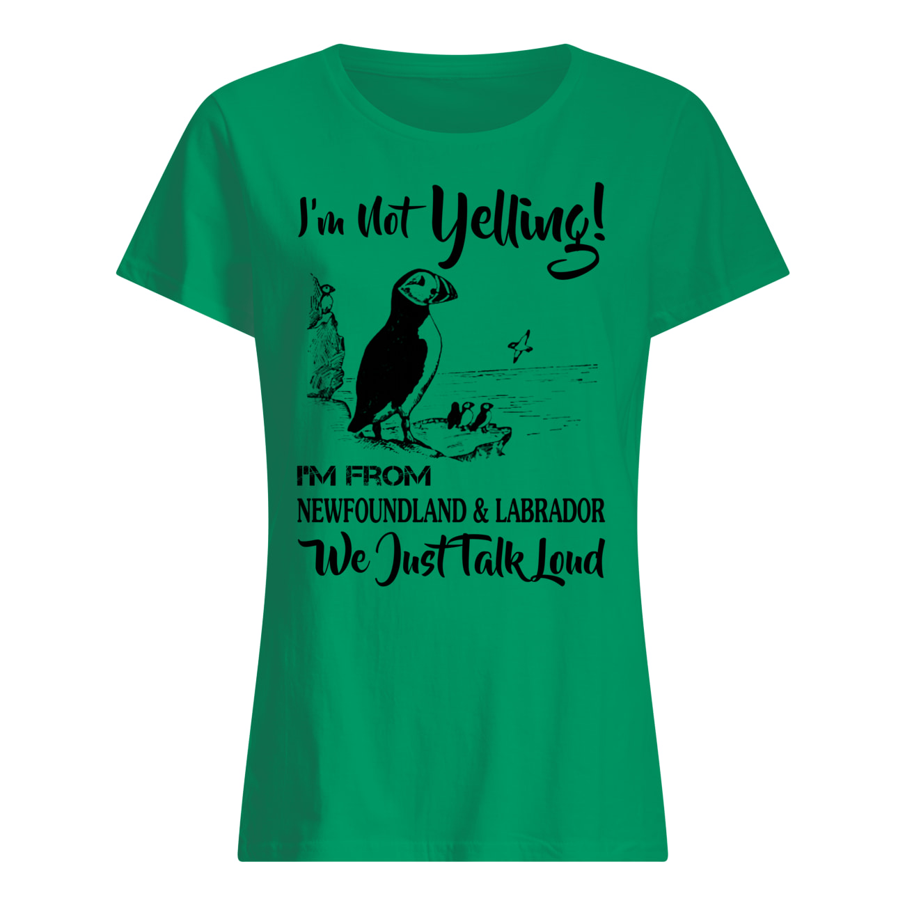 I'm not yelling i'm from newfoundland and labrador womens shirt