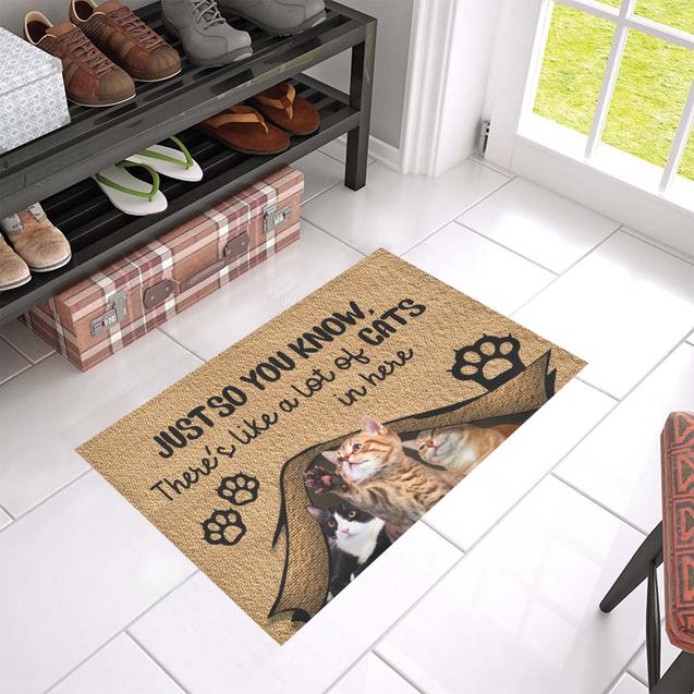 Just so you know there's like a lot of cats in here doormat 1