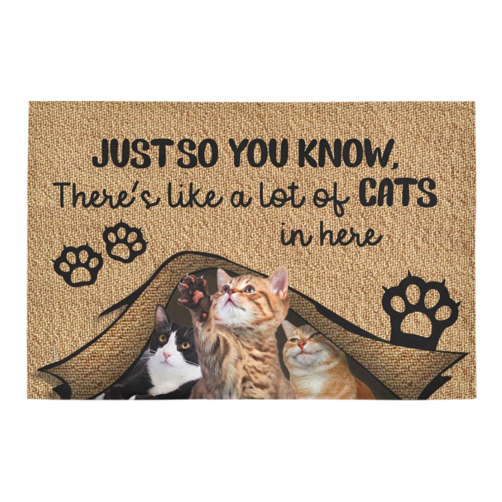 Just so you know there's like a lot of cats in here doormat 2