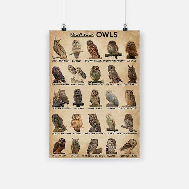 Know your owls poster 1