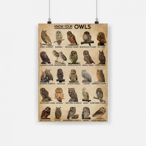 Know your owls poster 4