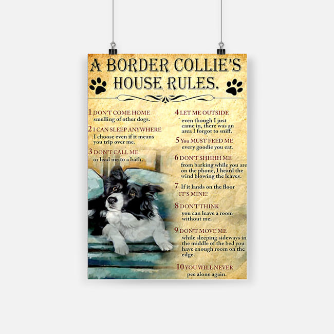 A border collie's house house rules poster 4