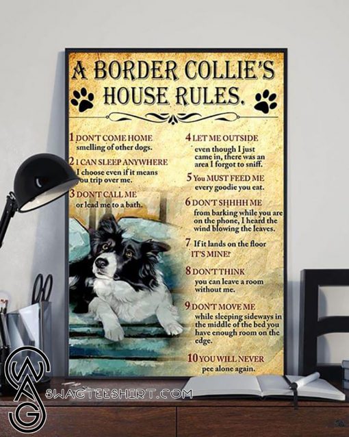 A border collie's house house rules poster