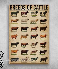Breeds of cattle aberdeen angus beef shorthorn belgian blue poster