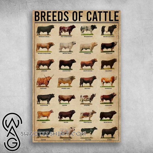 Breeds of cattle aberdeen angus beef shorthorn belgian blue poster