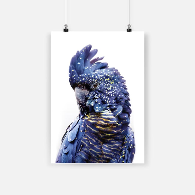 Parrot crazy in love beautiful dark blue parrot poster 1