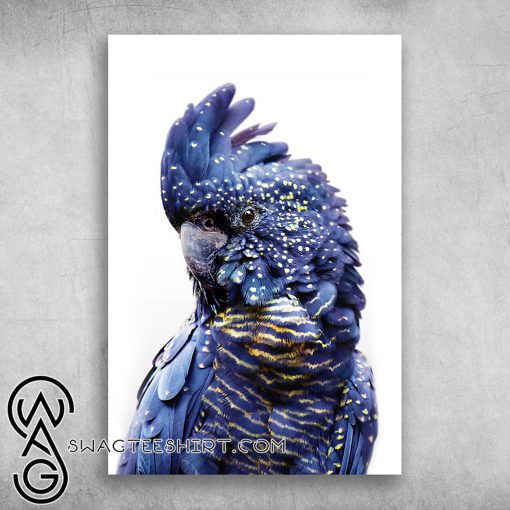 Parrot crazy in love beautiful dark blue parrot poster