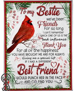 To my bestie we've been friends for so long cardinal fleece blanket
