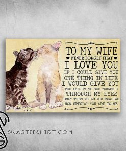 To my wife never forget that i love you how special you are to me couple cats poster