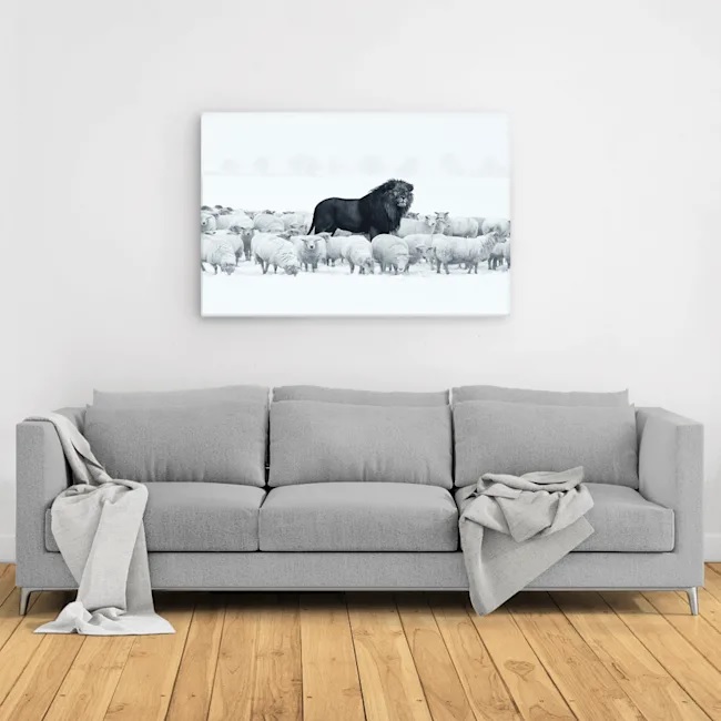 Lion amongst sheep canvas 2
