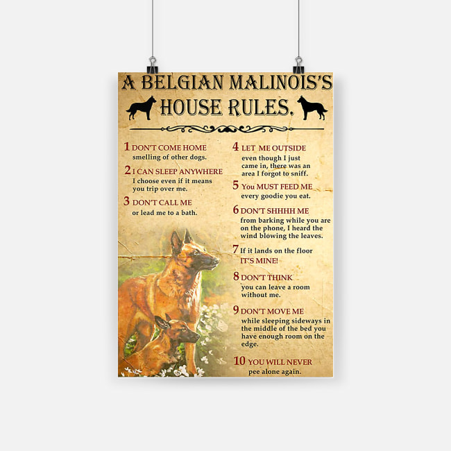 A belgian malinois's house rules poster 3