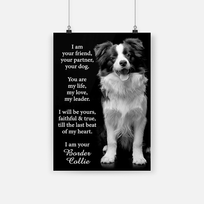 I am your friend dog border collie poster 4