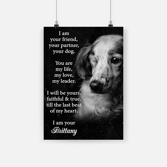 I am your friend dog brittany poster 2