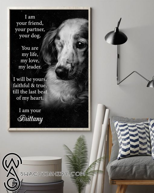I am your friend dog brittany poster