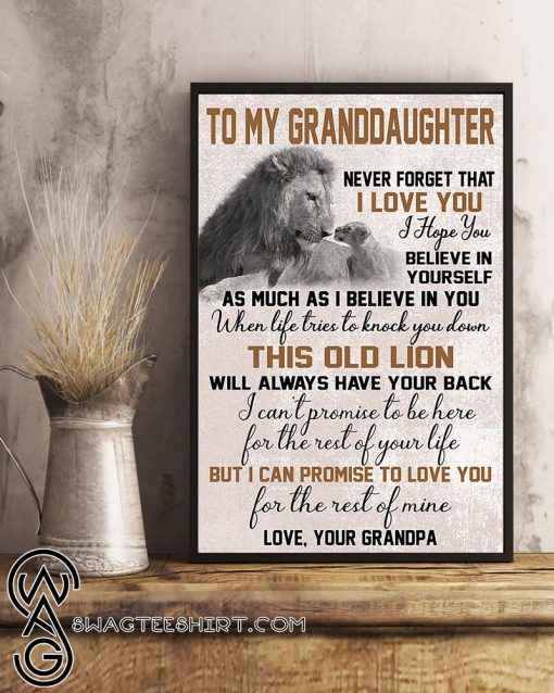To my granddaughter never forget that i love you lion poster