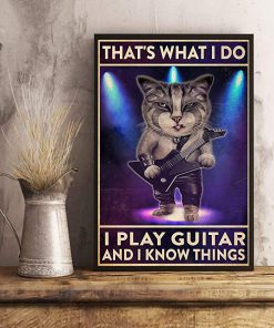 That's what i do i play guitar and i know things cat poster 2
