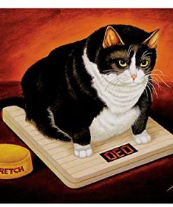 The picture peddler stretch kelley lowell herrero cat poster 1
