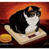The picture peddler stretch kelley lowell herrero cat poster