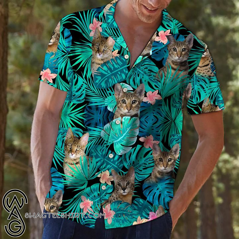 56 HQ Images Cat Wearing Hawaiian Shirt / Pirate Cat Hawaiian Shirt - Tagotee