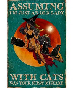 witch assuming i'm just an old lady with cats was your first mistake poster 1