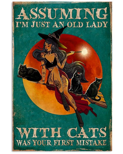 witch assuming i'm just an old lady with cats was your first mistake poster 4