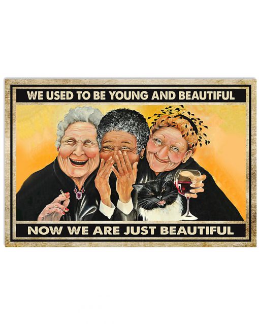 old ladies we used to be young and beautiful now we are just beautiful vintage poster 2