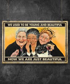 old ladies we used to be young and beautiful now we are just beautiful vintage poster 3