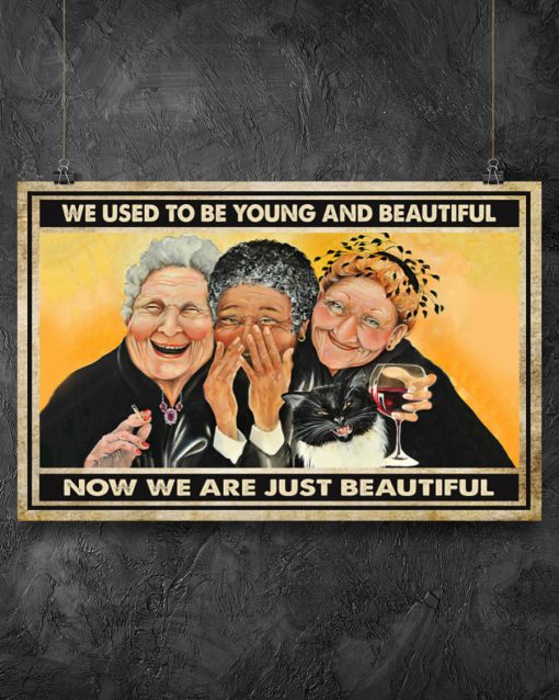 old ladies we used to be young and beautiful now we are just beautiful vintage poster 3